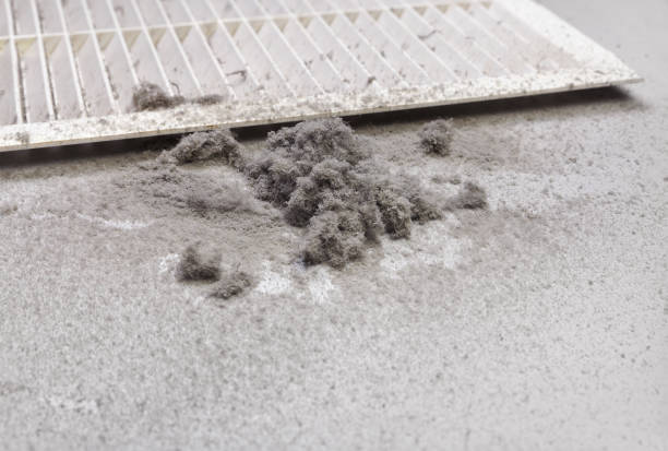 Best Local Air Duct Cleaning Services  in Lakewood, WA