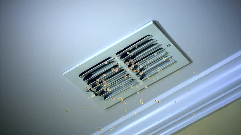 Best Air Duct Cleaning Near Me  in Lakewood, WA