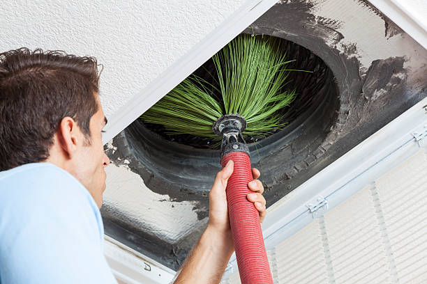 Best Affordable Duct Cleaning Services  in Lakewood, WA