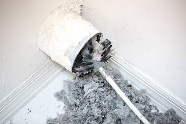 Best Affordable Duct Cleaning Services  in Lakewood, WA
